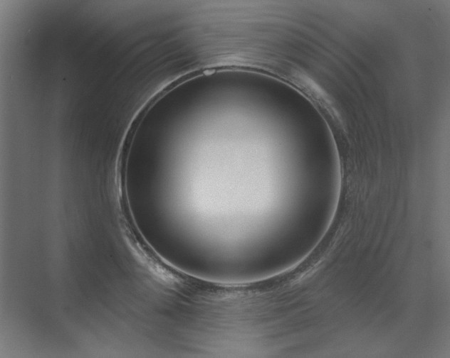 X0000074260892200608251223