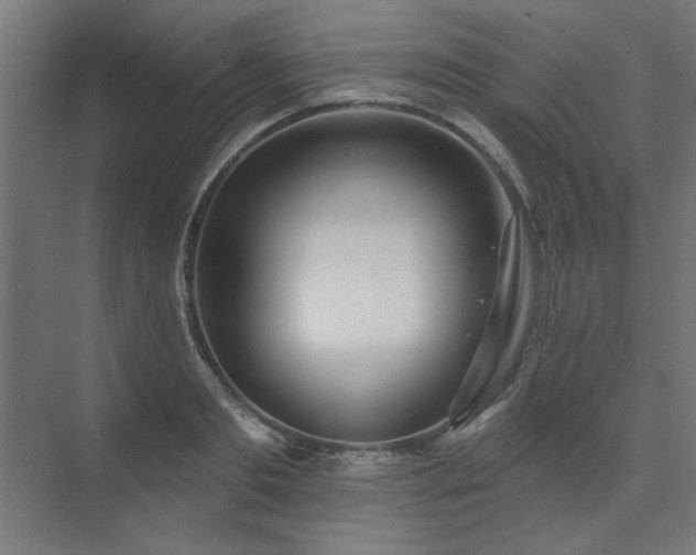 X0000074260893200608251223