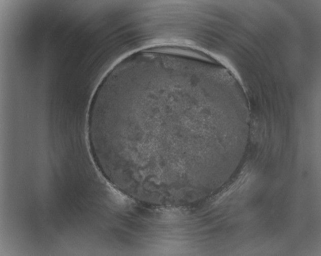 X0000074260895200608251223