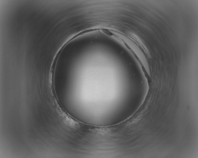 X0000074260900200608251223