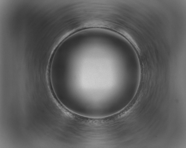 X0000074260901200608251223