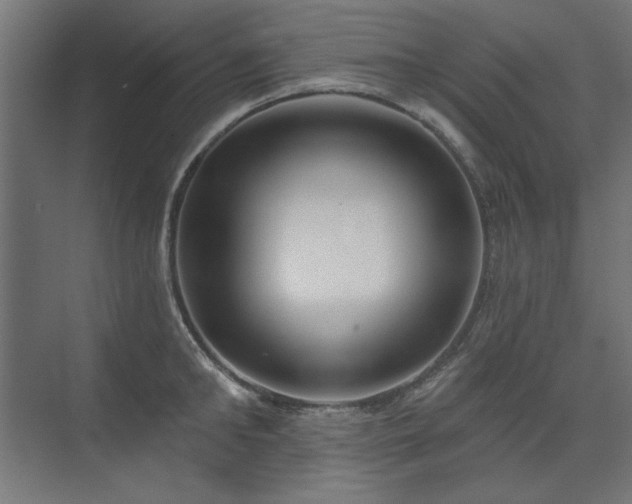 X0000074260902200608251223