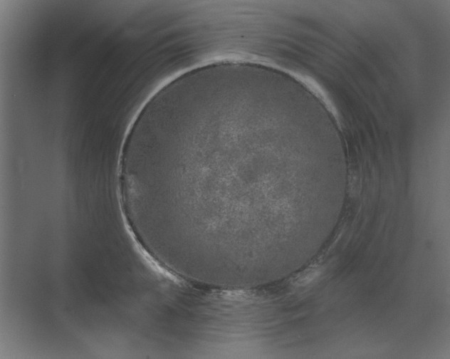 X0000074260903200608251223