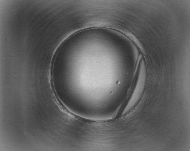 X0000074260904200608251223