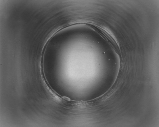 X0000074260906200608251223