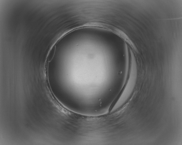 X0000074260908200608251223