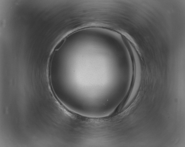 X0000074260910200608251223