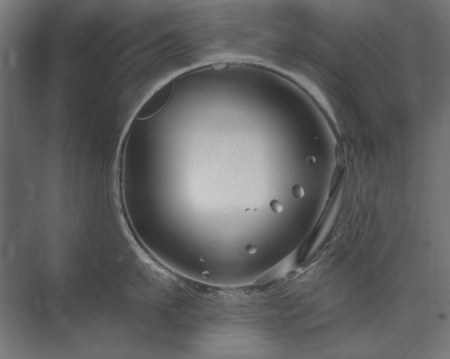 X0000074260911200608251223