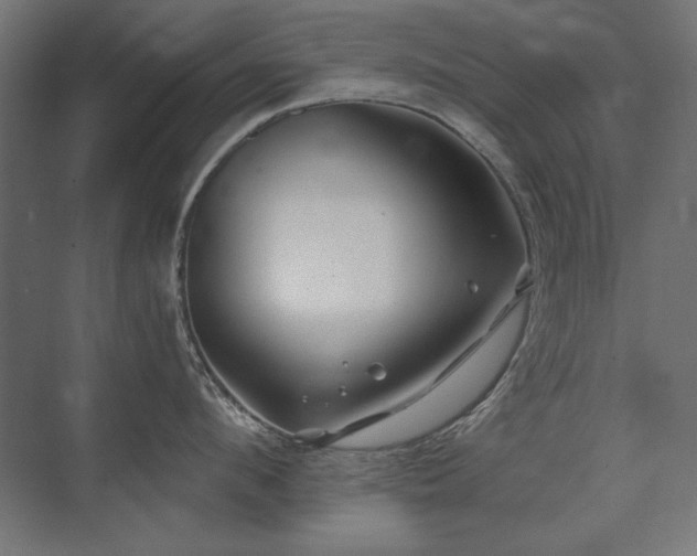 X0000074260912200608251223