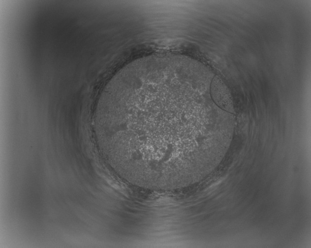 X0000074260913200608251222