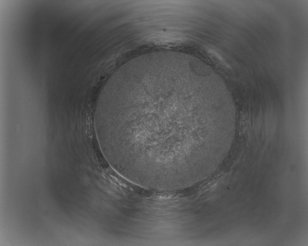 X0000074260917200608251222