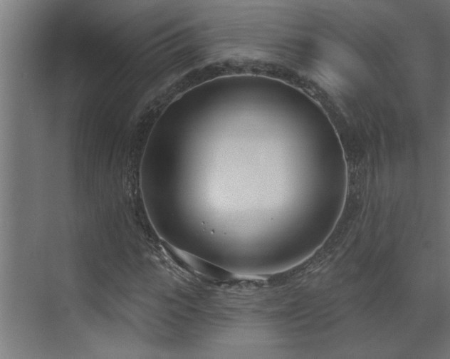 X0000074260919200608251222