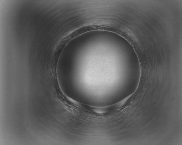 X0000074260920200608251222