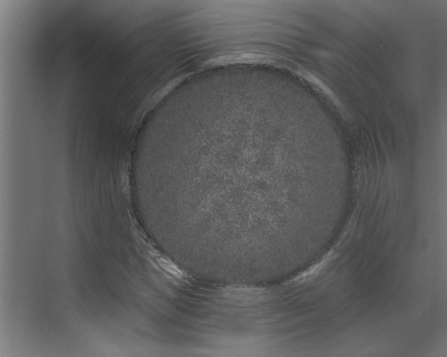 X0000074260921200608251222