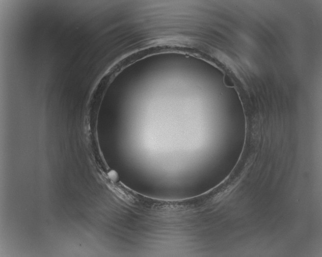 X0000074260923200608251222