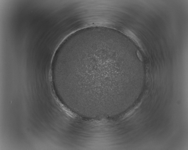 X0000074260924200608251222