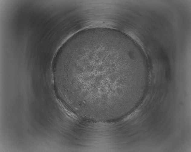 X0000074260925200608251222