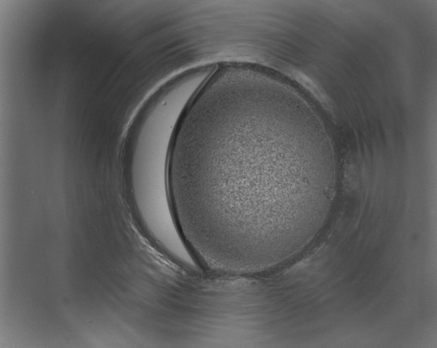 X0000074260926200608251222