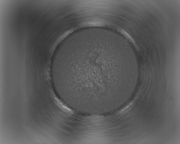 X0000074260930200608251222