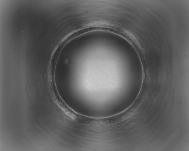 X0000074260931200608251222