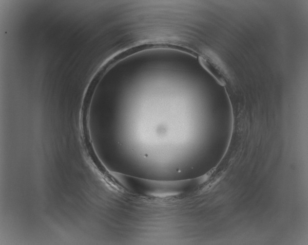 X0000074260932200608251222