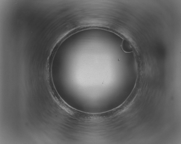 X0000074260933200608251222