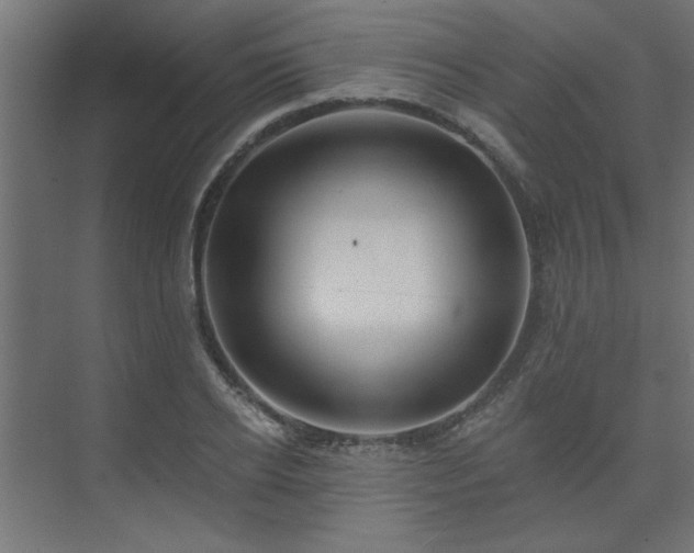 X0000074260934200608251222