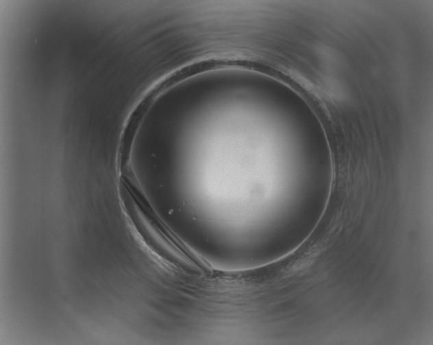 X0000074260935200608251222