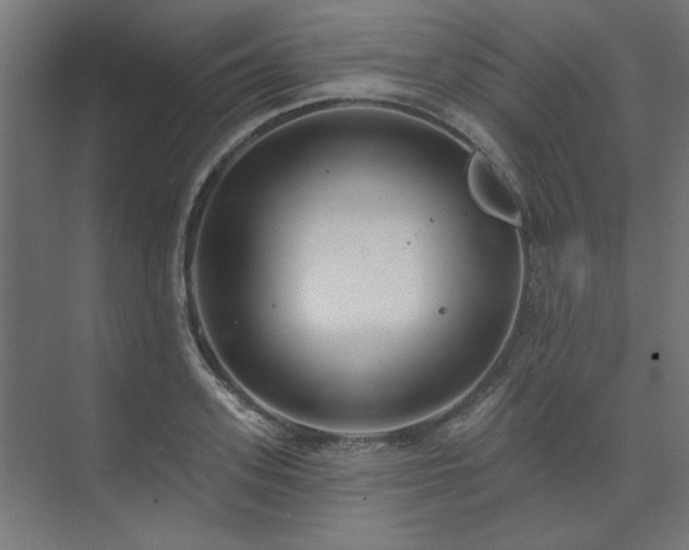 X0000074260939200608251222