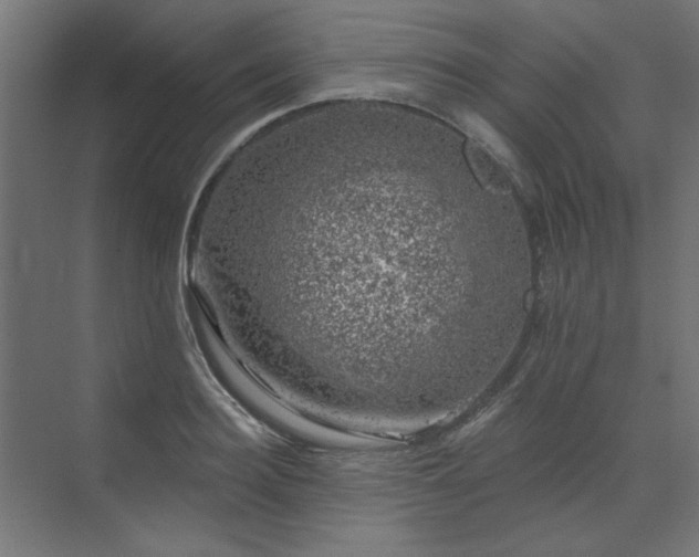 X0000074260940200608251222