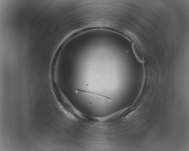 X0000074260942200608251222