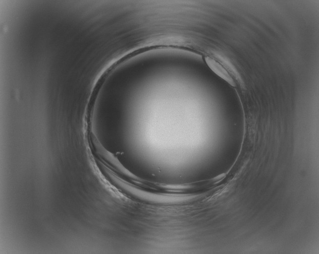 X0000074260944200608251222