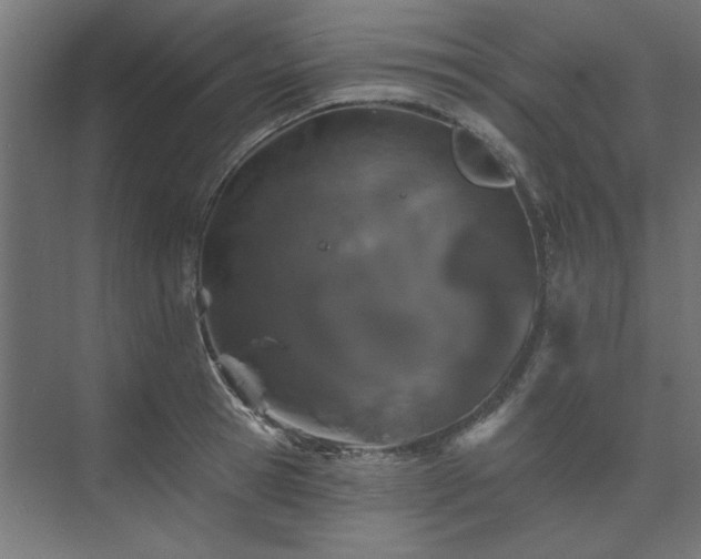 X0000074260945200608251222