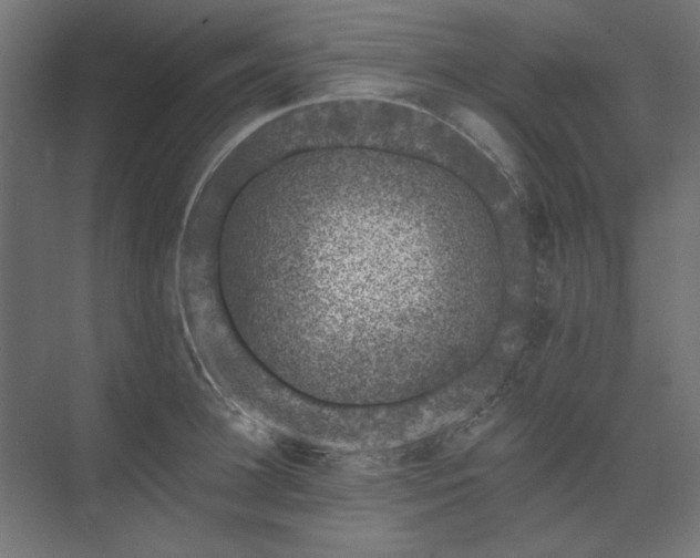 X0000074260948200608251222