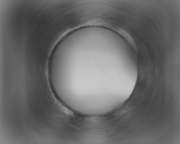 X0000074260950200608251222