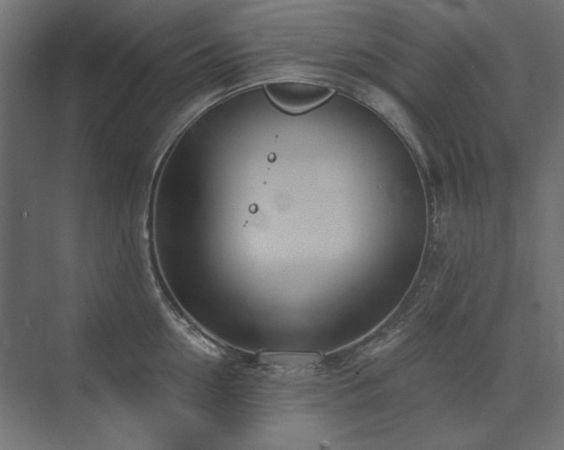 X0000074260954200608251223