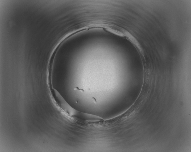 X0000074260955200608251223