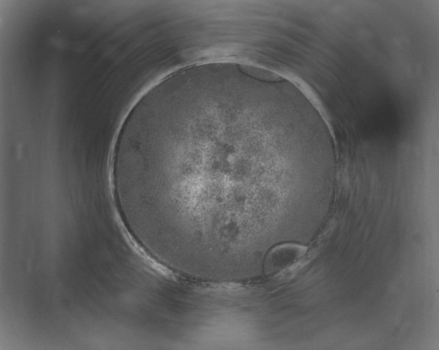 X0000074260957200608251223