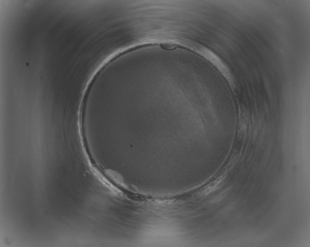 X0000074260958200608251223