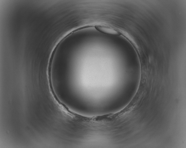 X0000074260959200608251223