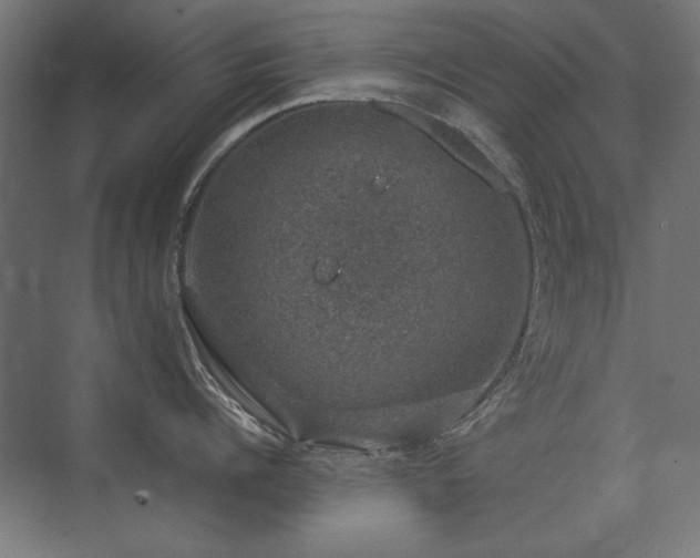 X0000074260960200608251223