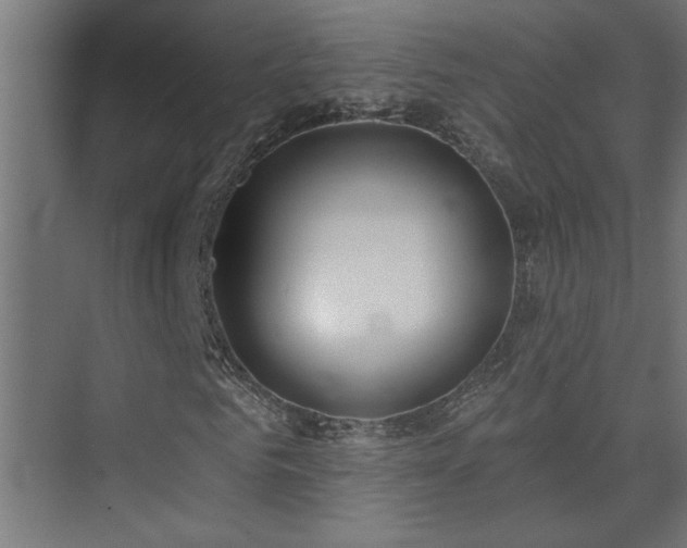 X0000074260961200608251222