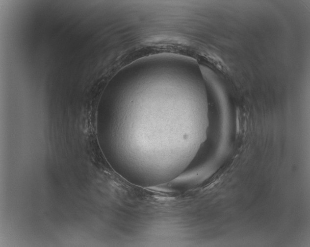 X0000074260965200608251222