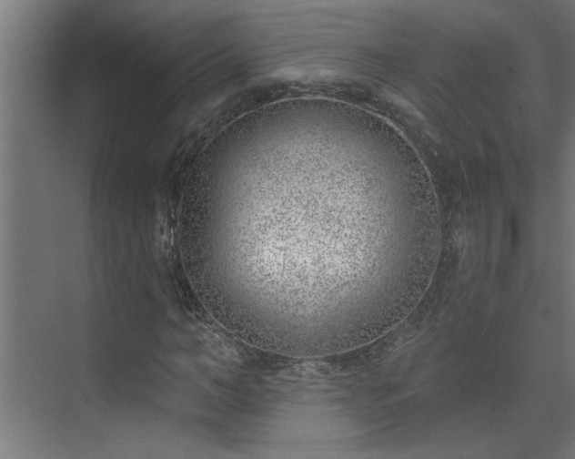 X0000074260966200608251222