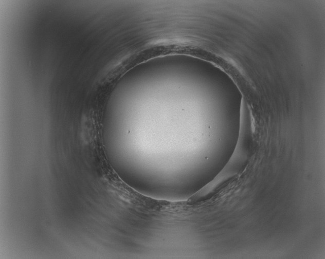 X0000074260967200608251222