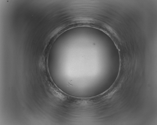 X0000074260970200608251222