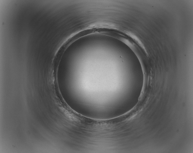 X0000074260973200608251222