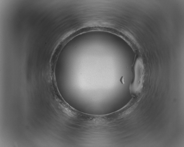 X0000074260974200608251222