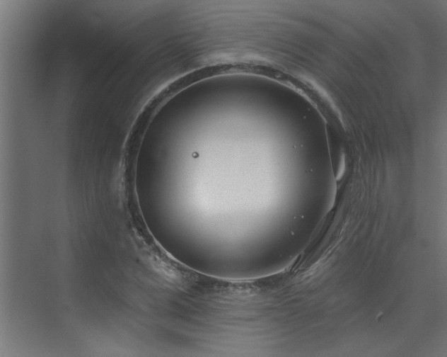 X0000074260975200608251222