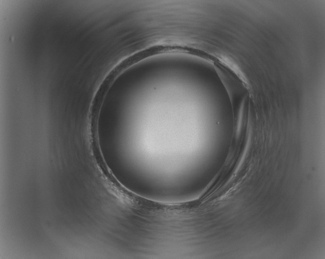 X0000074260976200608251222